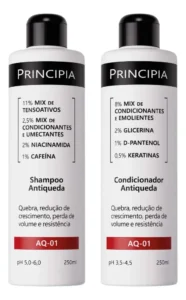Kit principia antiqueda